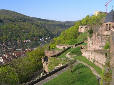 Umzug Heidelberg (Neckar)